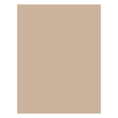 PAPIER INGRAISSABLES FAST FOOD