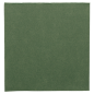 SERVIETTES ECOLABEL 'DOUBLE POINT' 18 G/M2 39x39 CM VERT JAGUAR OUATE (1200 UNITÉ)