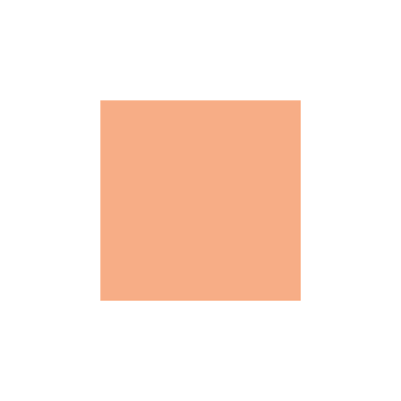 SERVIETTES ECOLABEL 'DOUBLE POINT' 18 G/M2 39x39 CM SAUMON OUATE (1200 UNITÉ)