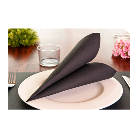 SETS DE TABLE  48 G/M2 31x43 CM NOIR CELLULOSE (2000 UNITÉ)