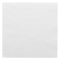SERVIETTES ECOLABEL 2 PLIS  18 G/M2 33x33 CM BLANC OUATE (2400 UNITÉ)
