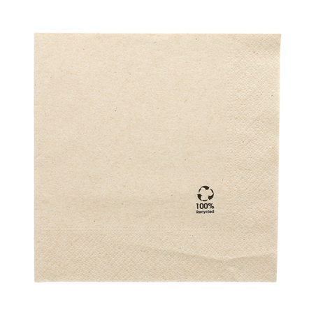 SERVIETTES ECOLABEL 2 PLIS