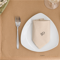 SERVIETTES ECOLABEL 2 PLIS