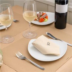 SERVIETTES ECOLABEL 2 PLIS