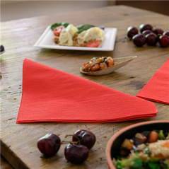 SERVIETTES ECOLABEL 2 PLIS