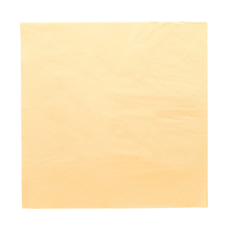 SERVIETTES ECOLABEL 2 PLIS