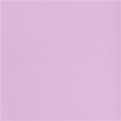 "TÊTE-À-TÊTE" PRE. 120CM (20 FEU.)  55 G/M2 0,40x24 M PARME AIRLAID (6 UNITÉ)