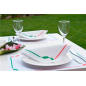 SETS DE TABLE 'TRATTORIA' 48 G/M2 31x43 CM BLANC CELLULOSE (2000 UNITÉ)