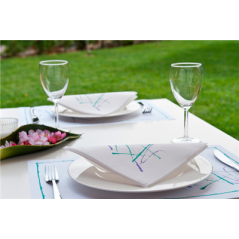 SETS DE TABLE 'VOLARE' 48 G/M2 35x50 CM BLANC CELLULOSE (2000 UNITÉ)