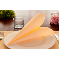 SETS DE TABLE  48 G/M2 31x43 CM IVOIRE CELLULOSE (2000 UNITÉ)