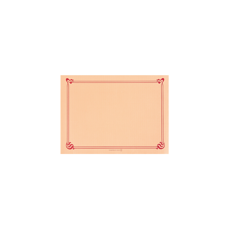 SETS DE TABLE  48 G/M2 31x43 CM SAUMON CELLULOSE (2000 UNITÉ)