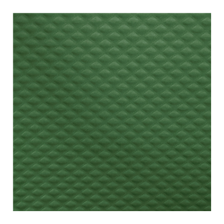 NAPPE EN ROULEAU  48 G/M2 1,20x100 M VERT JAGUAR CELLULOSE (4 UNITÉ)