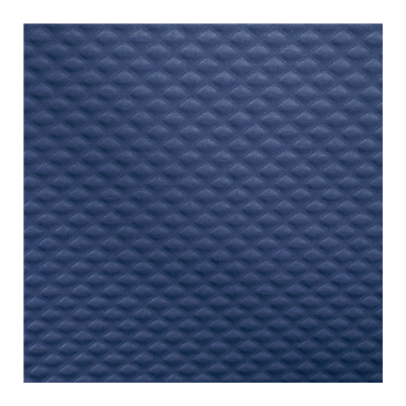 NAPPE EN ROULEAU  48 G/M2 1,20x100 M BLEU MARINE CELLULOSE (4 UNITÉ)