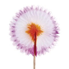 DÉCORS POUR GLACES "EVENTAILS CHINOIS"