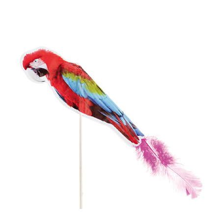 DÉCORS POUR GLACES "PERROQUETS A PLUMES"