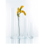 DÉCORATION GÉANTE - CYLINDRE  Ø 10x40 CM TRANSPARENT VERRE (1 UNITÉ)