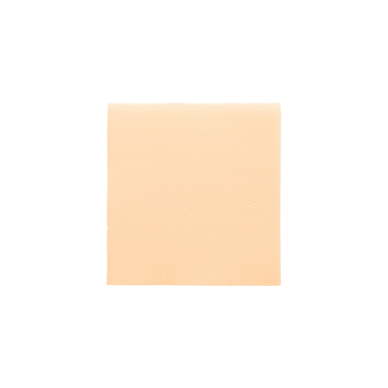 SERVIETTES ECOLABEL 'DOUBLE POINT' 18 G/M2 20x20 CM IVOIRE OUATE (2400 UNITÉ)