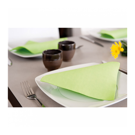 SERVIETTES ECOLABEL 'DOUBLE POINT' 18 G/M2 39x39 CM VERT ANIS OUATE (1200 UNITÉ)