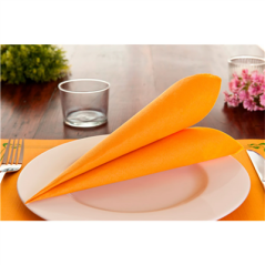 SERVIETTES ECOLABEL 'DOUBLE POINT' 18 G/M2 39x39 CM CLEMENTINE OUATE (1200 UNITÉ)