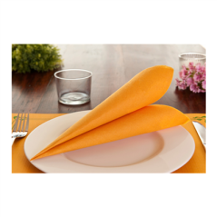 SETS DE TABLE  48 G/M2 31x43 CM CLEMENTINE CELLULOSE (2000 UNITÉ)