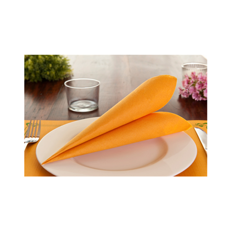 SETS DE TABLE  48 G/M2 31x43 CM CLEMENTINE CELLULOSE (2000 UNITÉ)