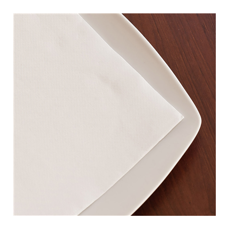 SERVIETTES 'DOUBLE POINT' 18 G/M2 20x20 CM BLANC OUATE (2400 UNITÉ)