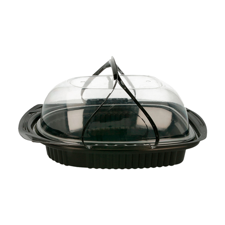 GRANDS RÉCIPIENTS POULET