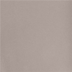 "TÊTE-À-TÊTE" PRÉ. 120CM (20 FEU.)  55 G/M2 0,40x24 M GRIS AIRLAID (6 UNITÉ)