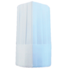 TOQUES AJUSTABLES CLASSIQUES