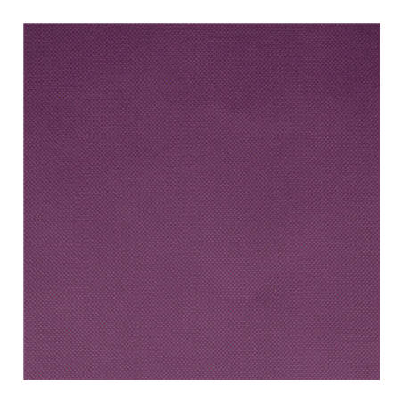 "TÊTE-À-TÊTE" PRÉ. 120 CM (40 FEU.) 'SPUNBOND' 60 G/M2 0,4x48 M VIOLET PP (6 UNITÉ)