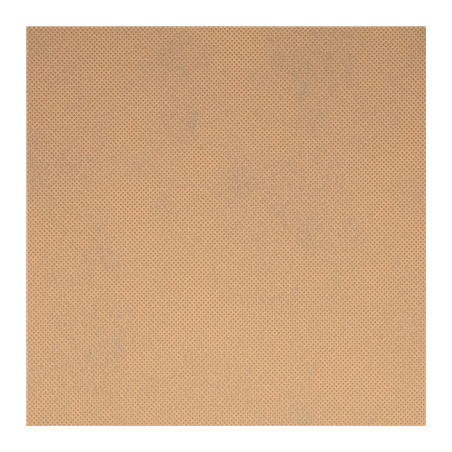 NAPPE PRÉ-DÉCOUPÉE 120 CM 'SPUNBOND' 60 G/M2 1,20x50,4 M SABLE PP (1 UNITÉ)