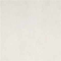 NAPPE 'SPUNBOND' 60 G/M2 1,20x50 M BLANC PP (1 UNITÉ)