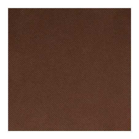 NAPPE 'SPUNBOND' 60 G/M2 1,20x50 M CHOCOLAT PP (1 UNITÉ)