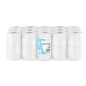 HYGIENIQUE SEMI-INDUSTRIEL ECOLABEL 2 PLIS - 73 M  17 G/M2 Ø12,5x9,5 CM BLANC OUATE (30 UNITÉ)