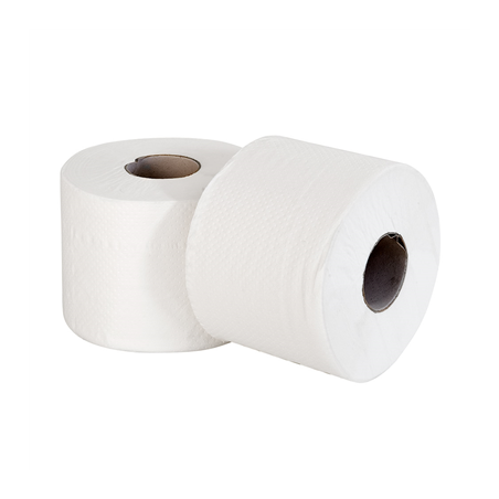 HYGIENIQUE SEMI-INDUSTRIEL ECOLABEL 2 PLIS - 73 M  17 G/M2 Ø12,5x9,5 CM BLANC OUATE (30 UNITÉ)