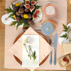 ASSIETTES EN FAÏENCE