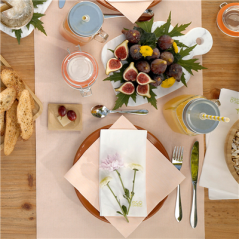 ASSIETTES EN FAÏENCE