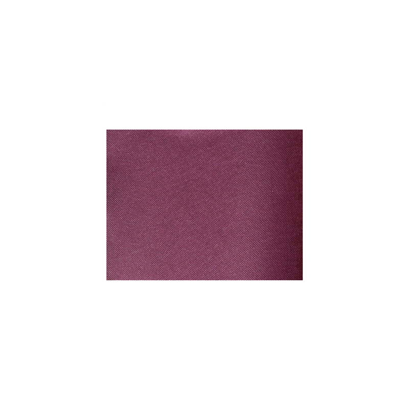 SETS DE TABLE 'SPUNBOND' 60 G/M2 30x40 CM VIOLET PP (800 UNITÉ)