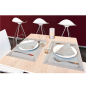 SETS DE TABLE  48 G/M2 31x43 CM GRIS CELLULOSE (2000 UNITÉ)