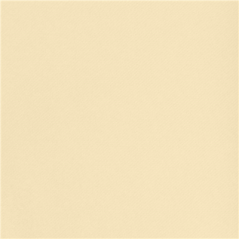 NAPPE PRÉ-DÉCOUPÉE - 75 SEGMENTS  55 G/M2 80x80 CM IVOIRE AIRLAID (4 UNITÉ)