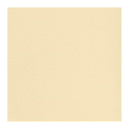 NAPPE PRÉ-DÉCOUPÉE - 60 SEGMENTS  55 G/M2 120x120 CM IVOIRE AIRLAID (4 UNITÉ)