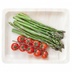 PLATEAUX RECTANGULAIRES