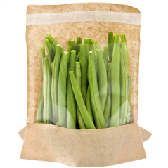 RÉCIPIENTS AVEC BASE ET FENÊTRE AUTO FERMETURE