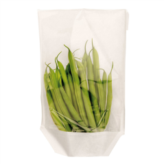 RÉCIPIENTS AVEC BASE ET FENÊTRE