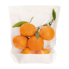 RÉCIPIENTS AVEC BASE ET FENÊTRE