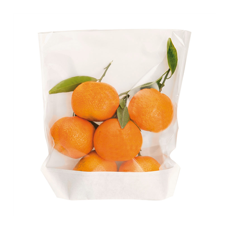 RÉCIPIENTS AVEC BASE ET FENÊTRE