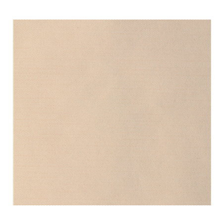 "TÊTE-À-TÊTE" PRÉ. 120CM (20 FEU.) 'LIKE LINEN' 70 G/M2 0,40x24 M CREME SPUNLACE (6 UNITÉ)