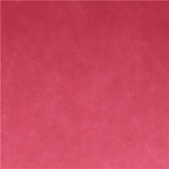 "TÊTE-À-TÊTE" PRÉ. 120 CM (40 FEU.) 'SPUNBOND' 60 G/M2 0,40x48 M FRAMBOISE PP (6 UNITÉ)