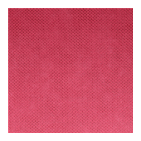 NAPPE PRÉ-DÉCOUPÉE 120 CM 'SPUNBOND' 60 G/M2 1,20x50,4 M FRAMBOISE PP (1 UNITÉ)