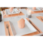 SETS DE TABLE 'DRY COTTON' 55 G/M2 30x40 CM MANDARINE AIRLAID (800 UNITÉ)